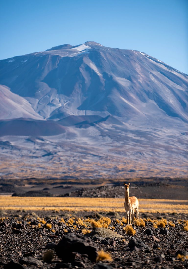 Abaucan_441