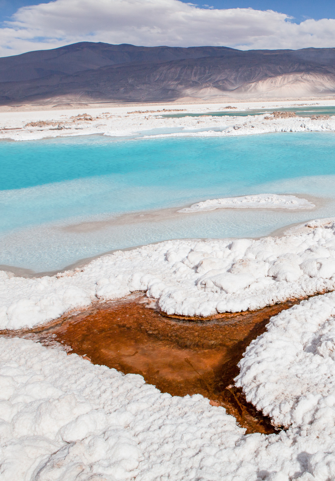 Salar de Antofalla