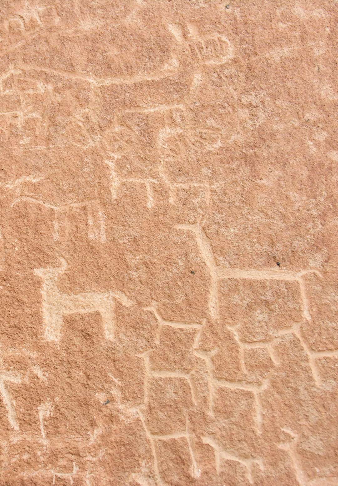 Sitios Arqueológicos